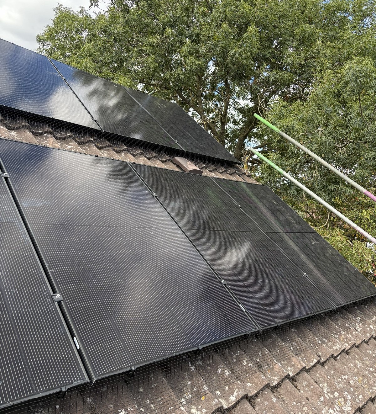 Black solar panels with bird mesh fitted along the roof edge on a tiled pitched roof, a large tree behind, photographed by Cozy Home Solutions during an installation.