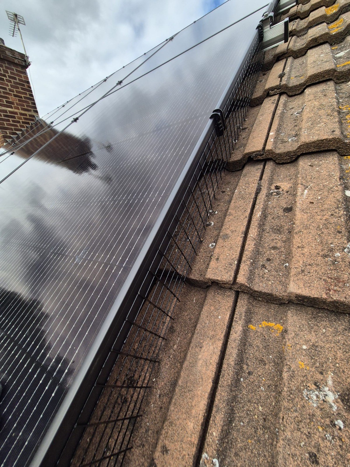 The edge of a solar panel array with bird mesh fitted, beside a brick chimney on a tiled roof, photographed by Cozy Home Solutions.