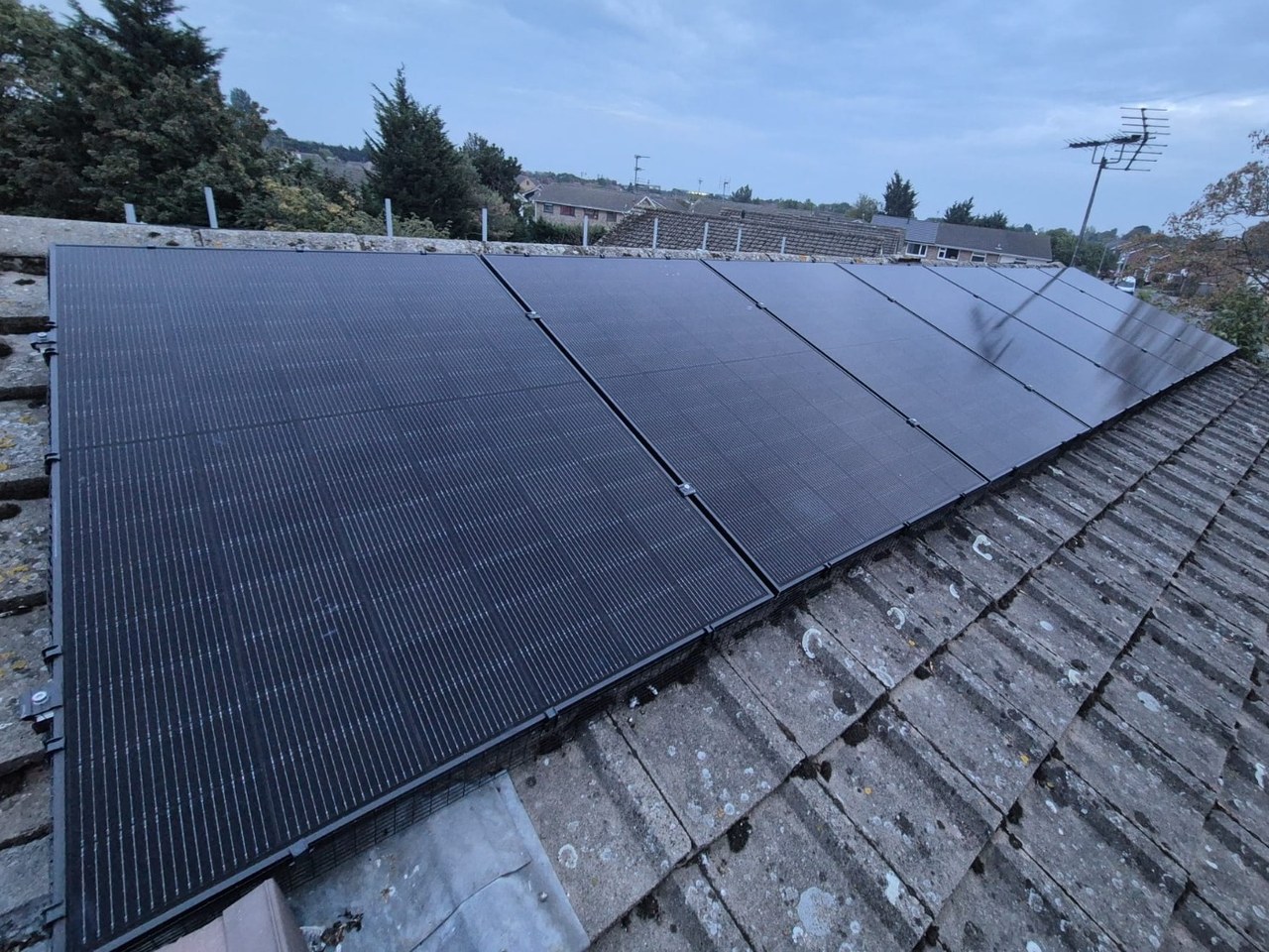 Five all-black solar panels near the ridge of a tiled roof, with bird mesh along the lower edge of the array, photographed by Cozy Home Solutions.