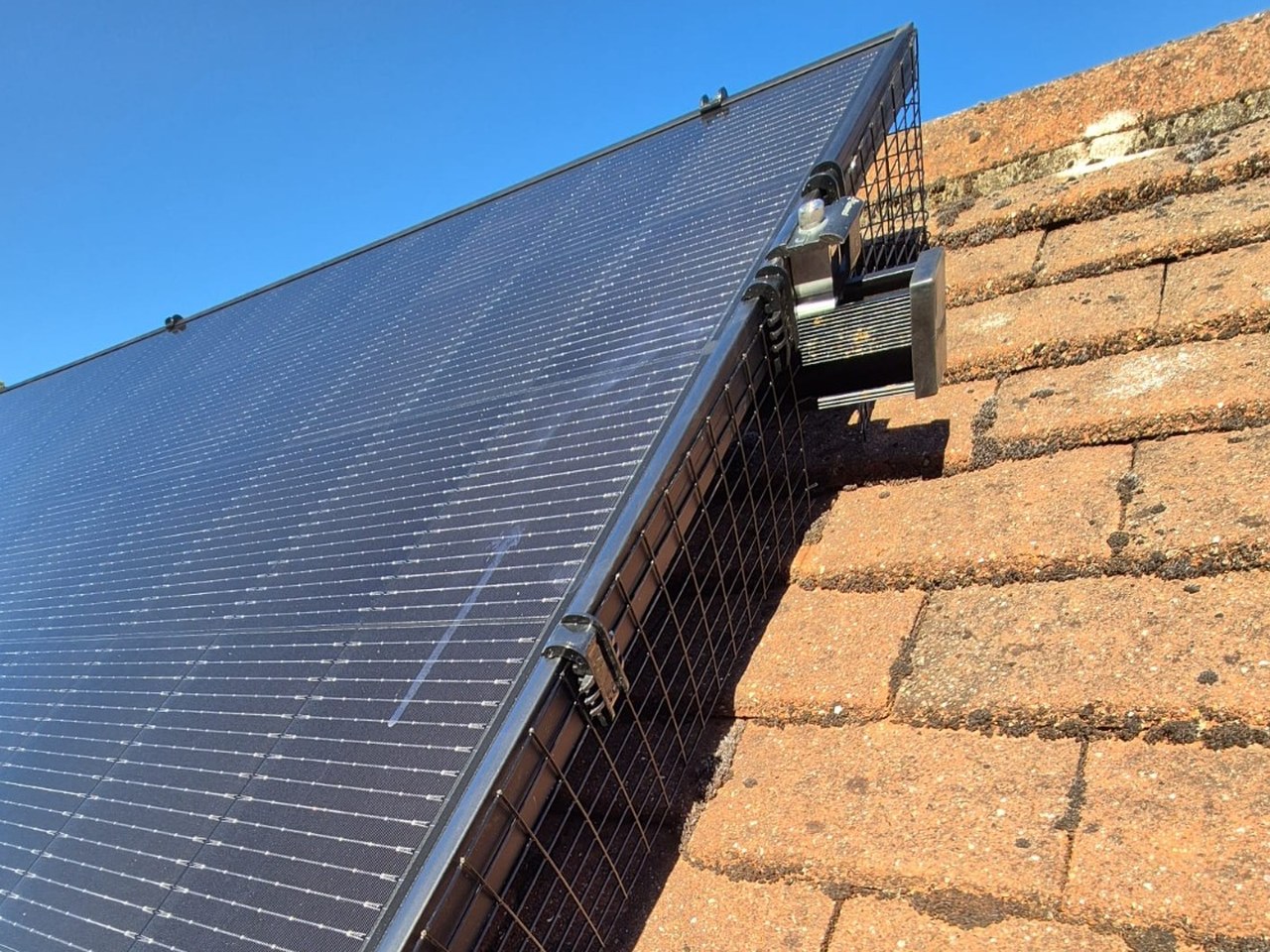 Close-up of a solar panel edge showing black bird mesh clipped to the frame and the mounting rail behind, photographed by Cozy Home Solutions.